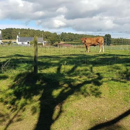 North Kessock Cosy 2 Bedroom Croft Cottage With Beautiful Views מראה חיצוני תמונה