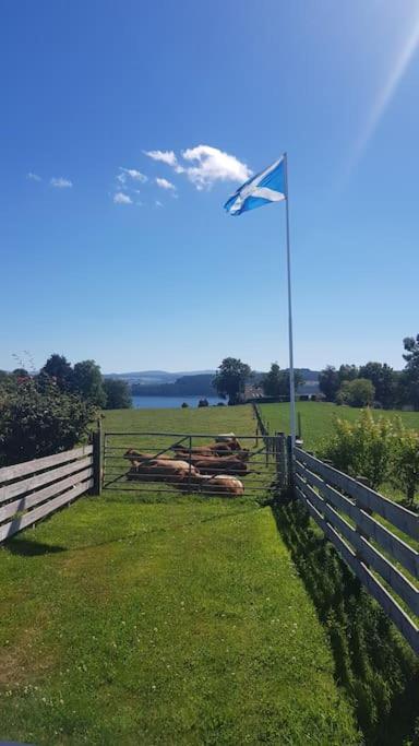 North Kessock Cosy 2 Bedroom Croft Cottage With Beautiful Views מראה חיצוני תמונה