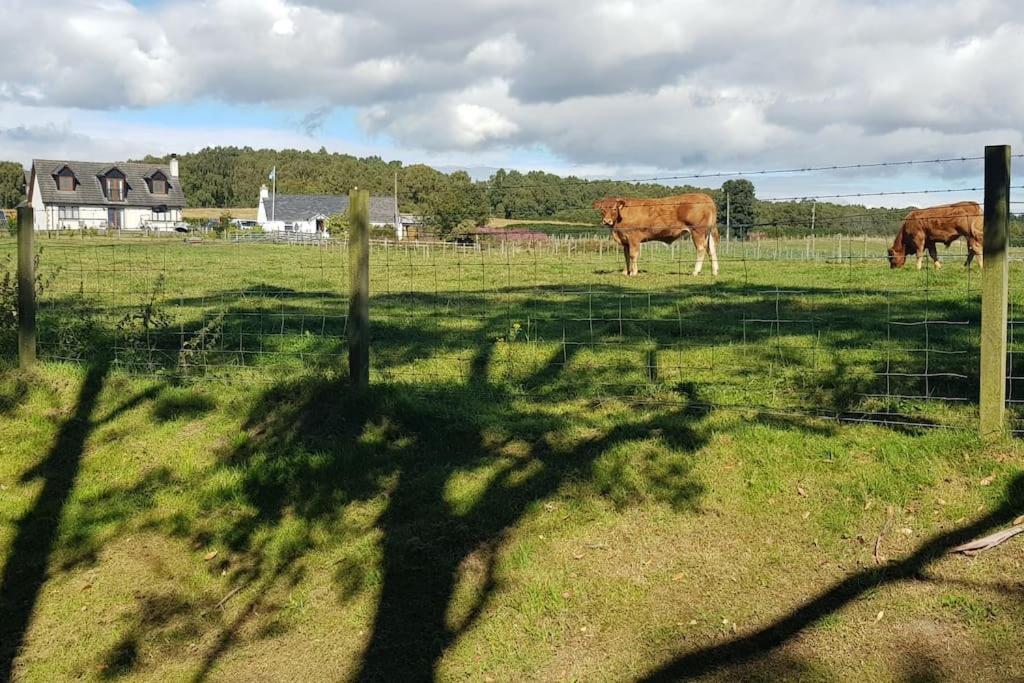 North Kessock Cosy 2 Bedroom Croft Cottage With Beautiful Views מראה חיצוני תמונה